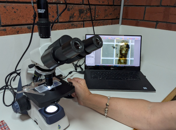 Image of a microscope in the FLEC Lab
