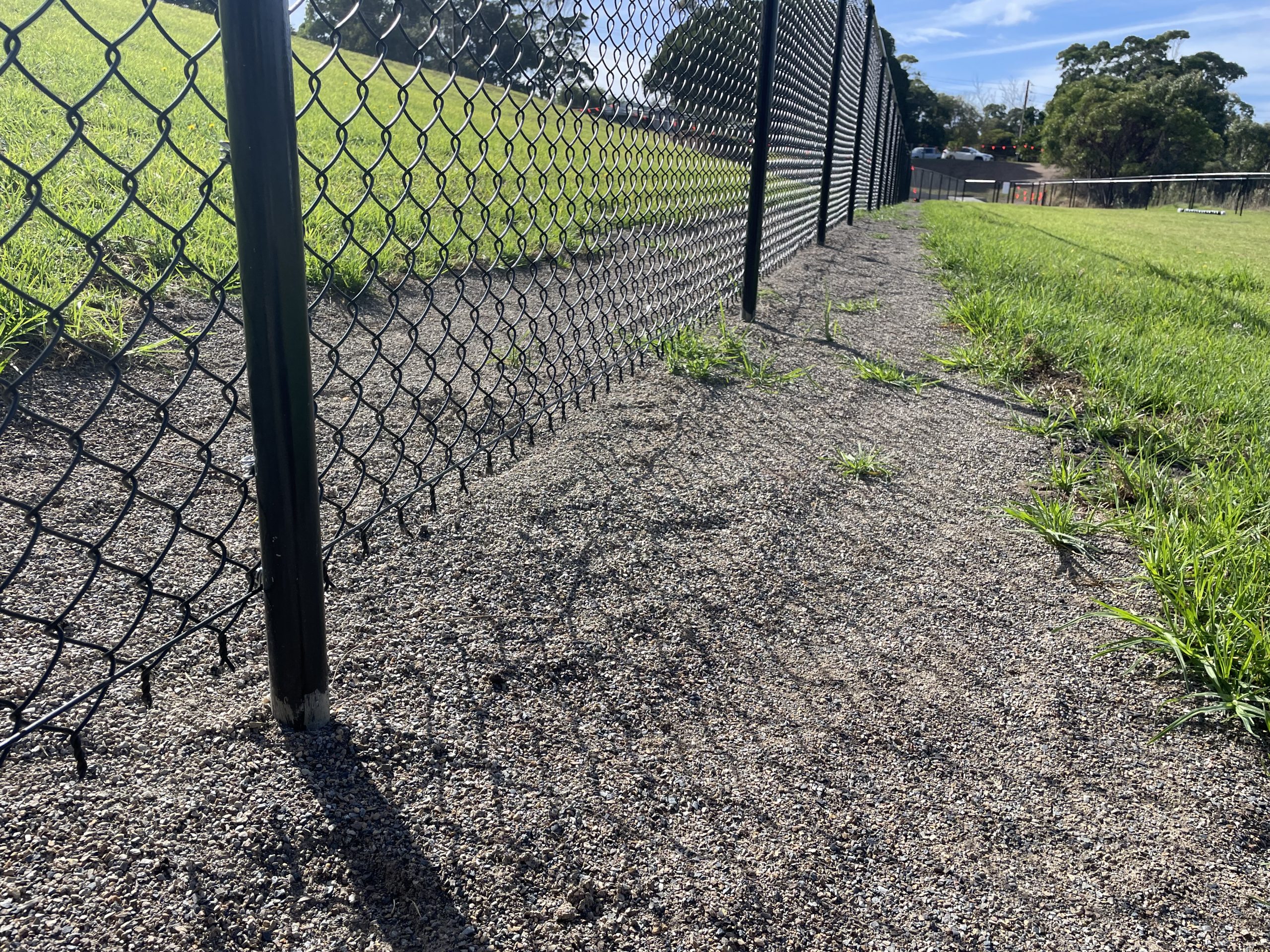 Fencing, but still needs to have snake-proof wire put on